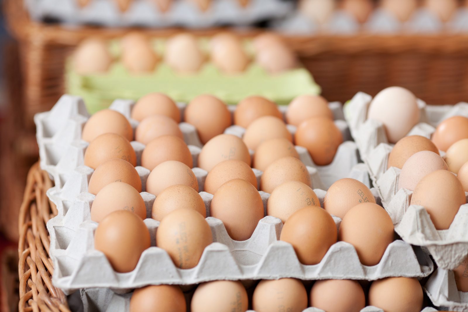 Eier und Eierprodukte